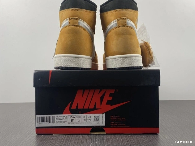 DB2889-700 Gore-Tex High Jordan 1 Light Element Curry 0809
